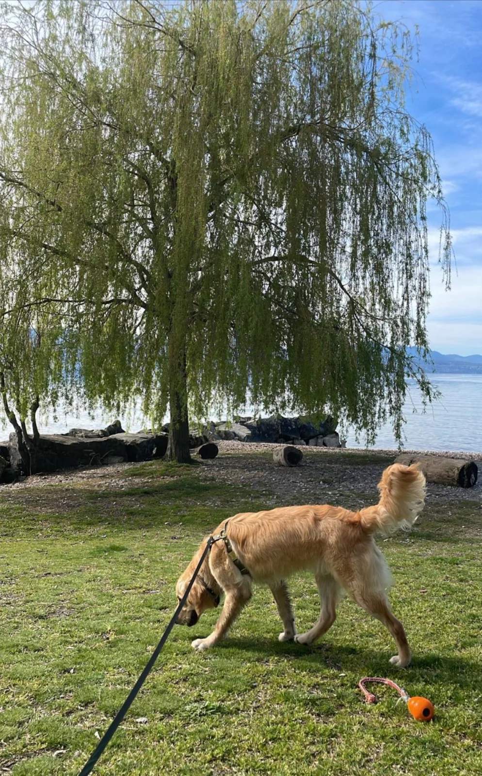 Sandra et un chien